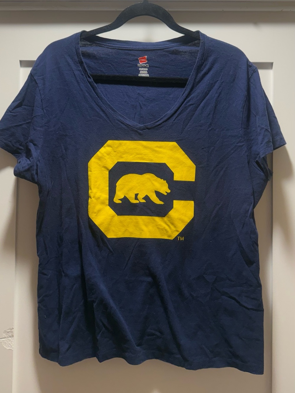 Hanes Navy Cal Short Sleeve Tee
